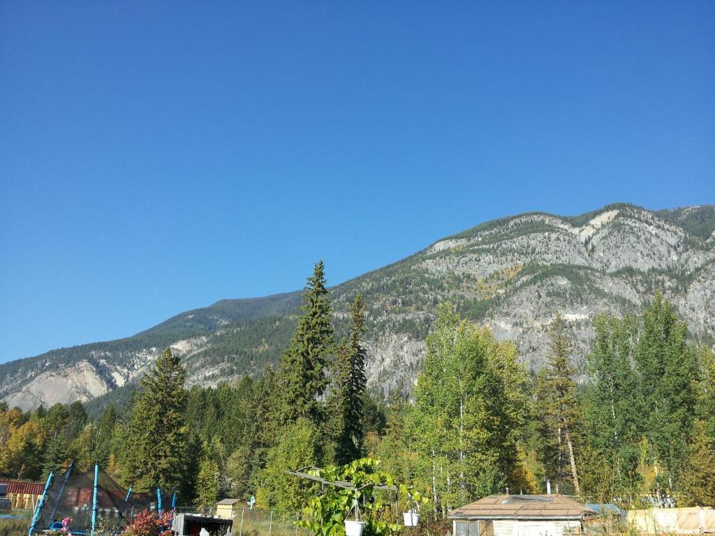 Steamboat Mountain Chalets Hotel Spillimacheen Exterior foto